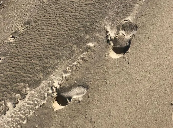 Opale Baie * Berck