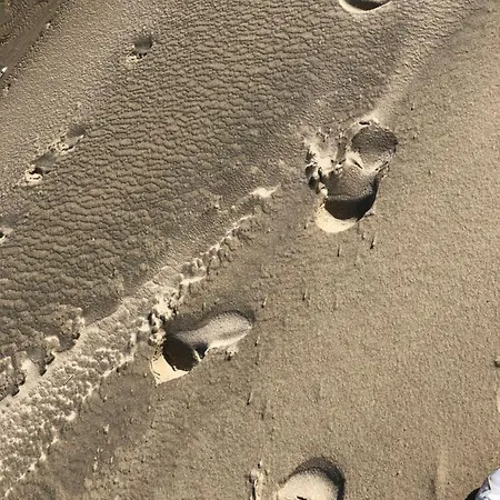 Opale Baie * Berck