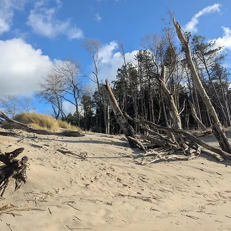 Opale Baie Daire Berck